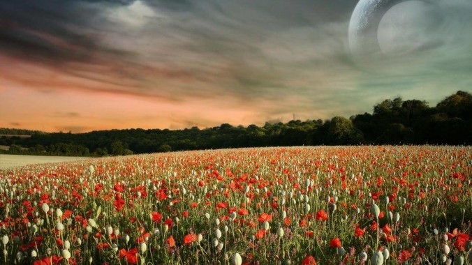 众创空间独角兽WeWork的业务是如何运 